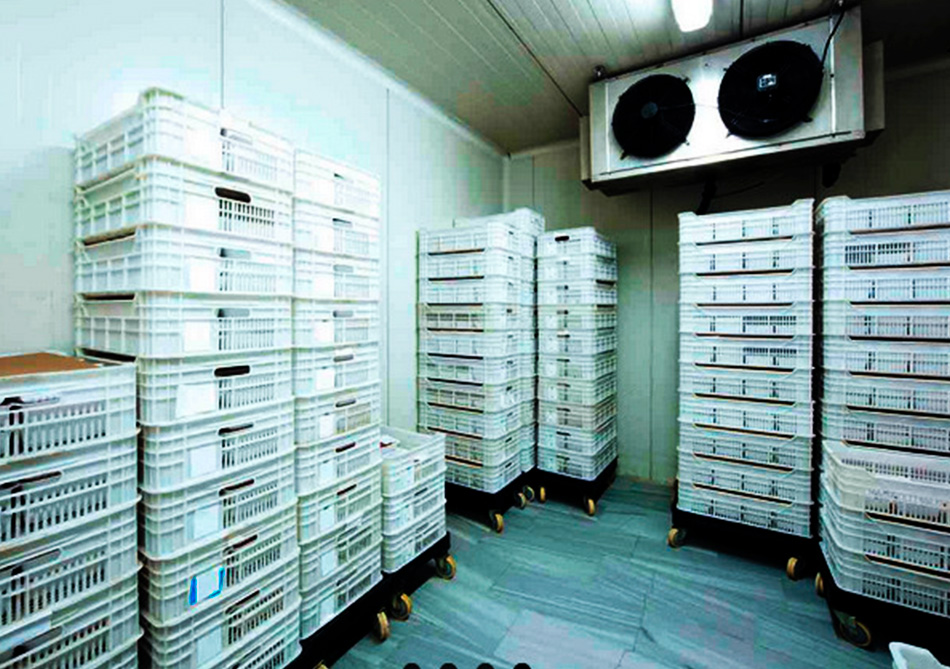 chillers_cold_rooms